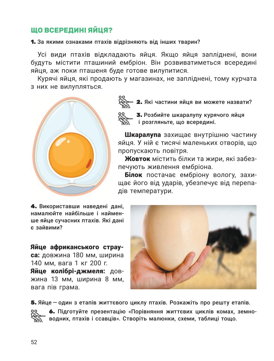 Мініатюра 52