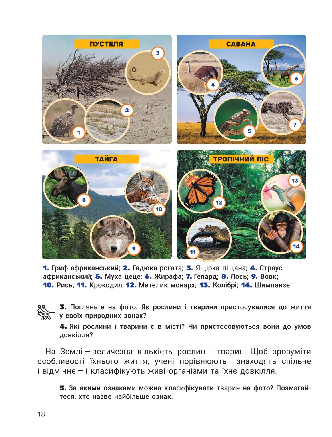 Мініатюра 18