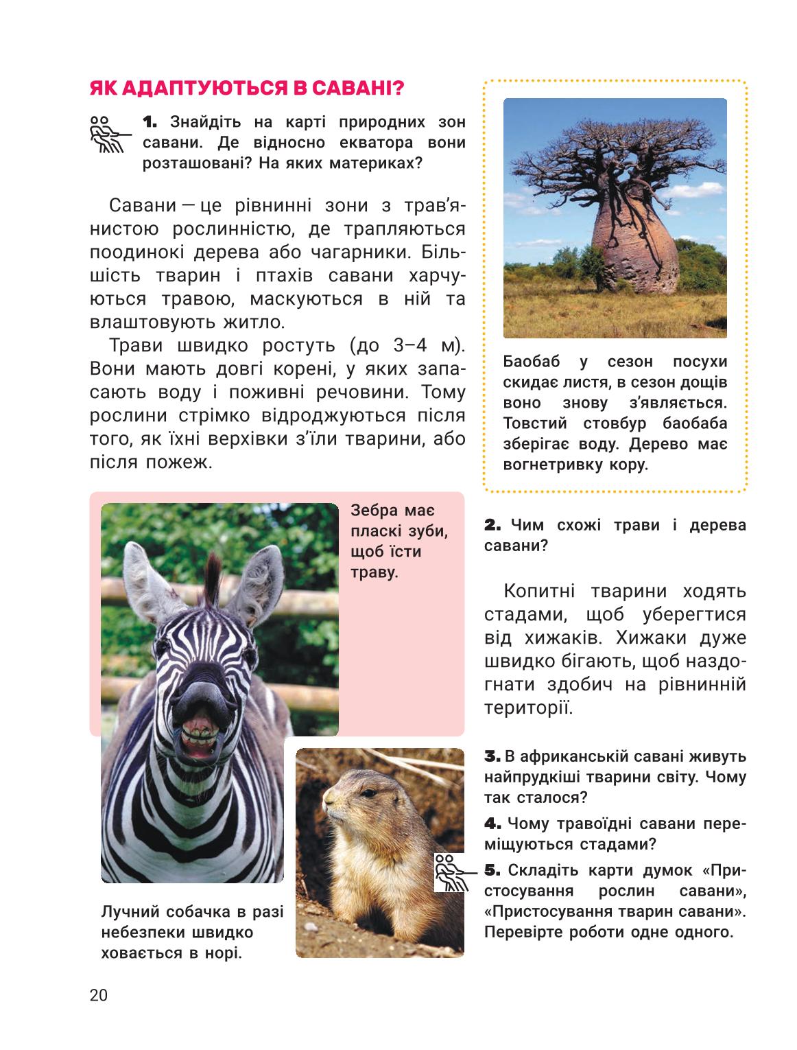 Мініатюра 20