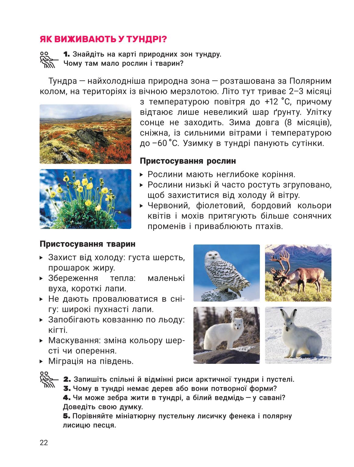 Мініатюра 22