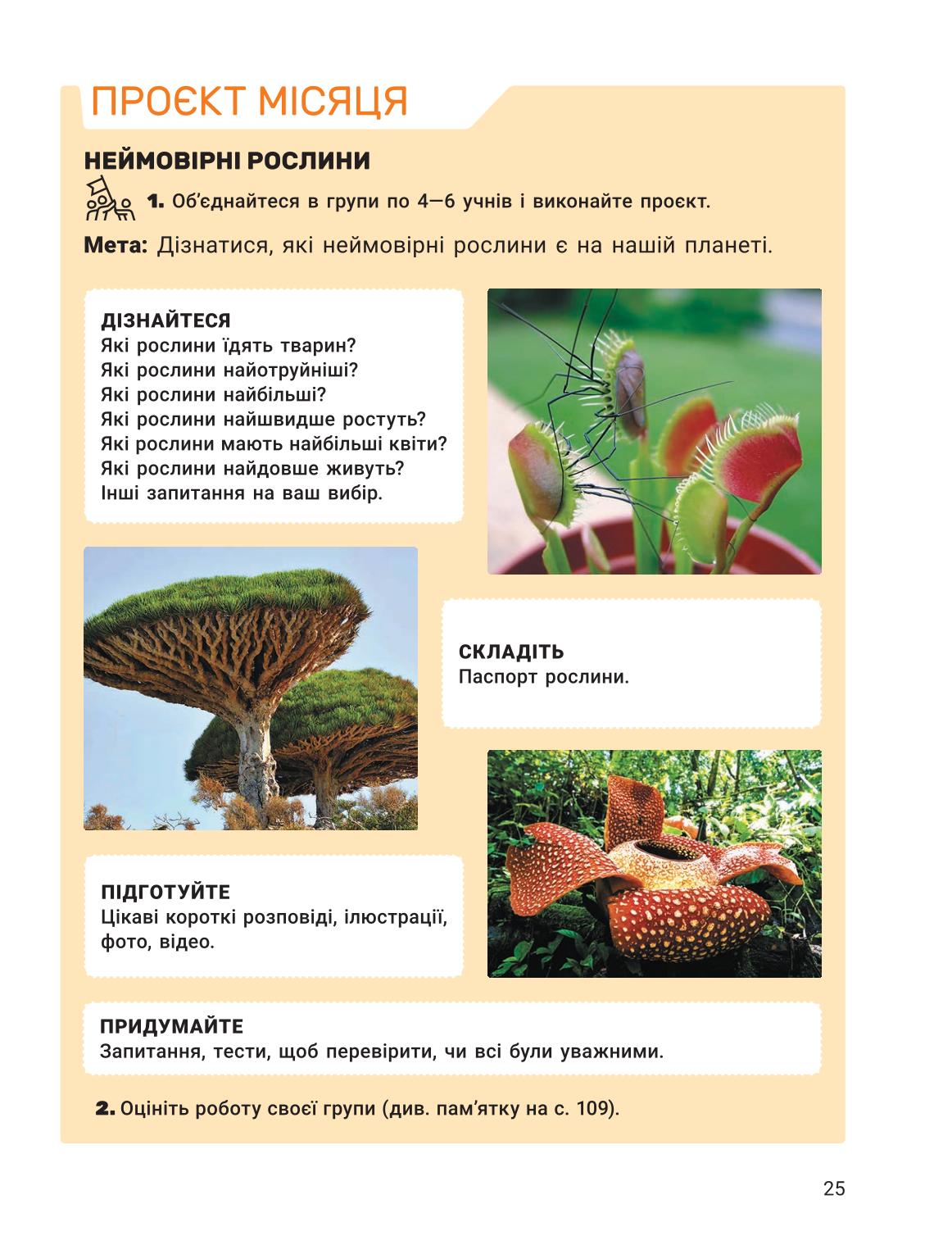 Мініатюра 25