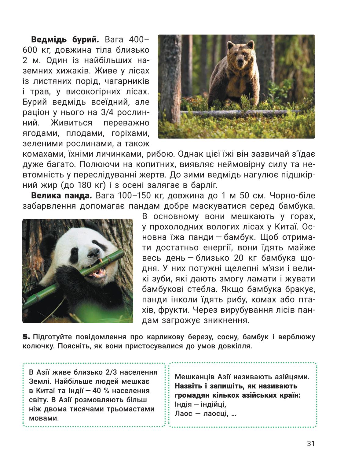 Мініатюра 31