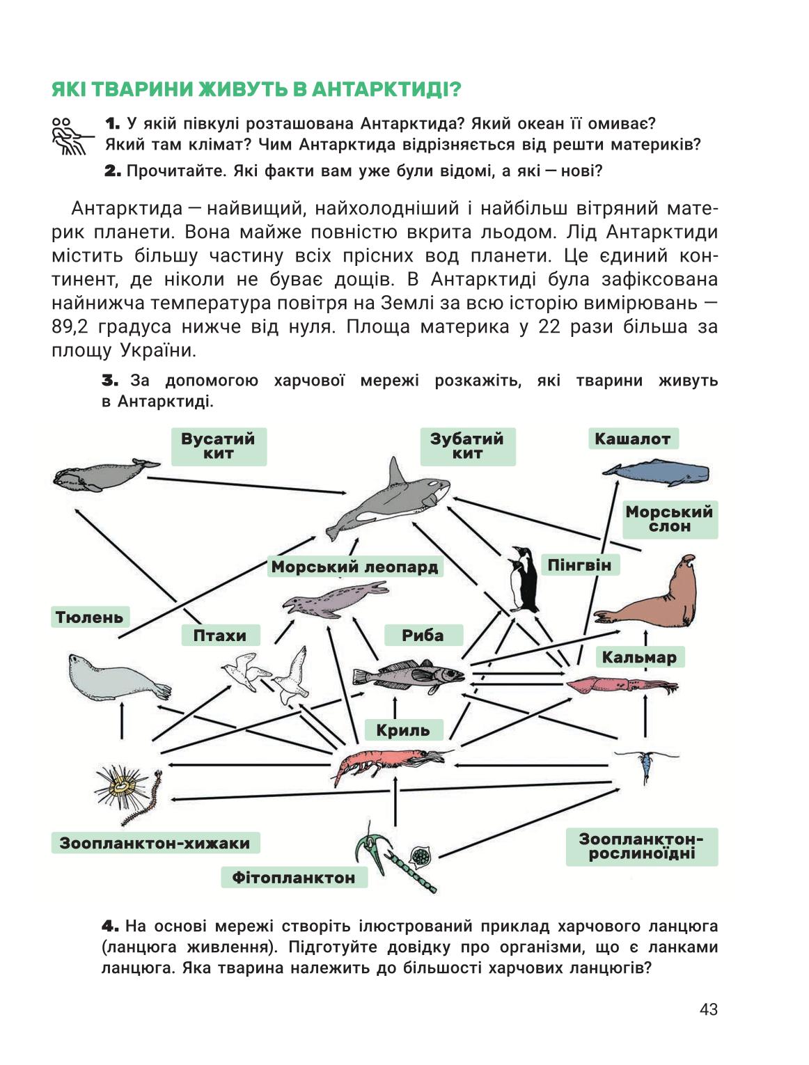 Мініатюра 43