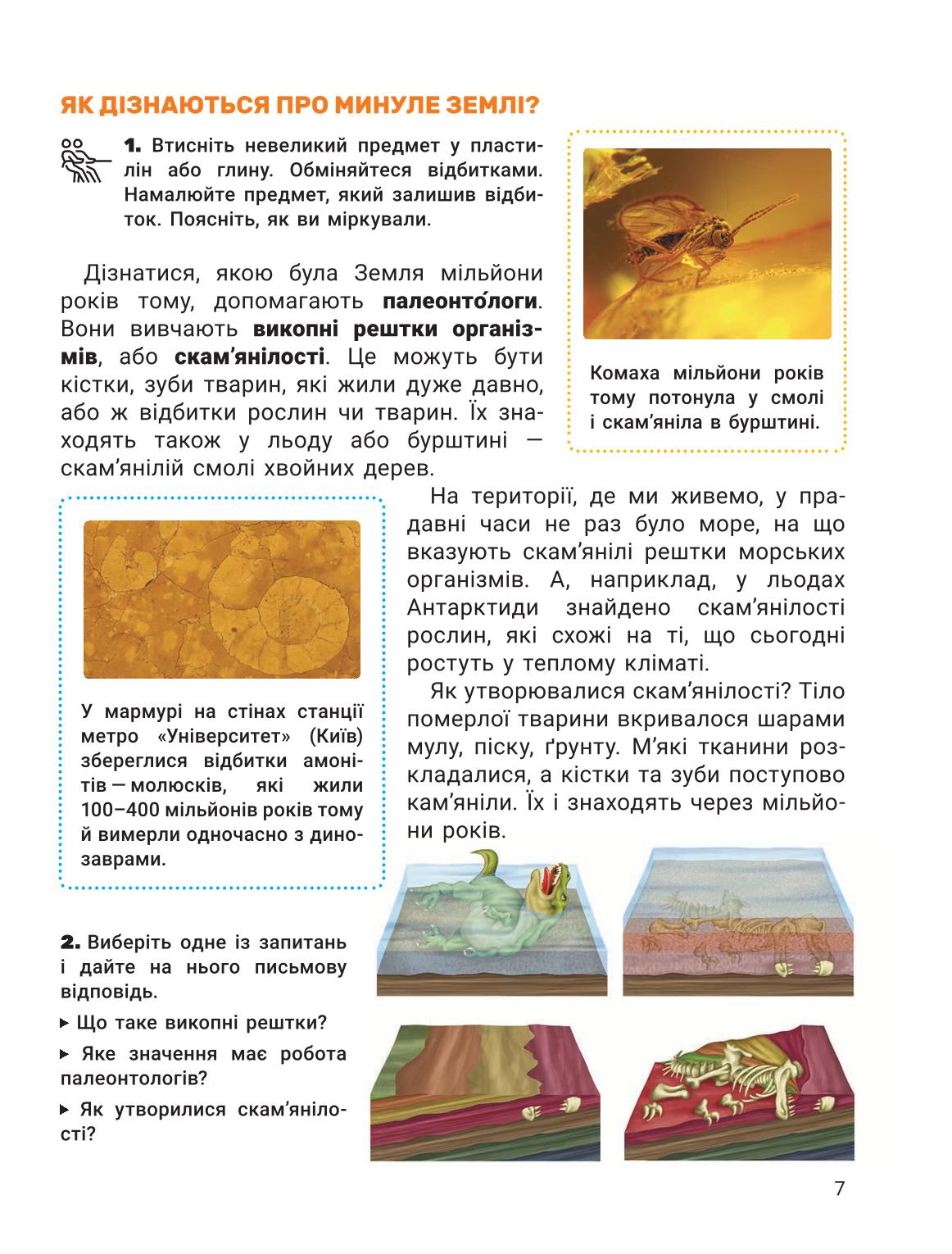 Мініатюра 7