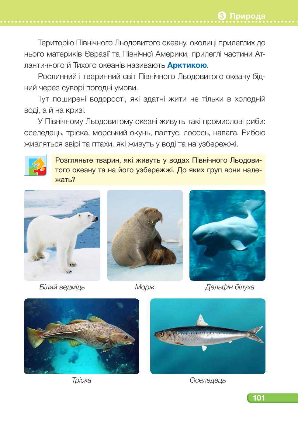 Мініатюра 101
