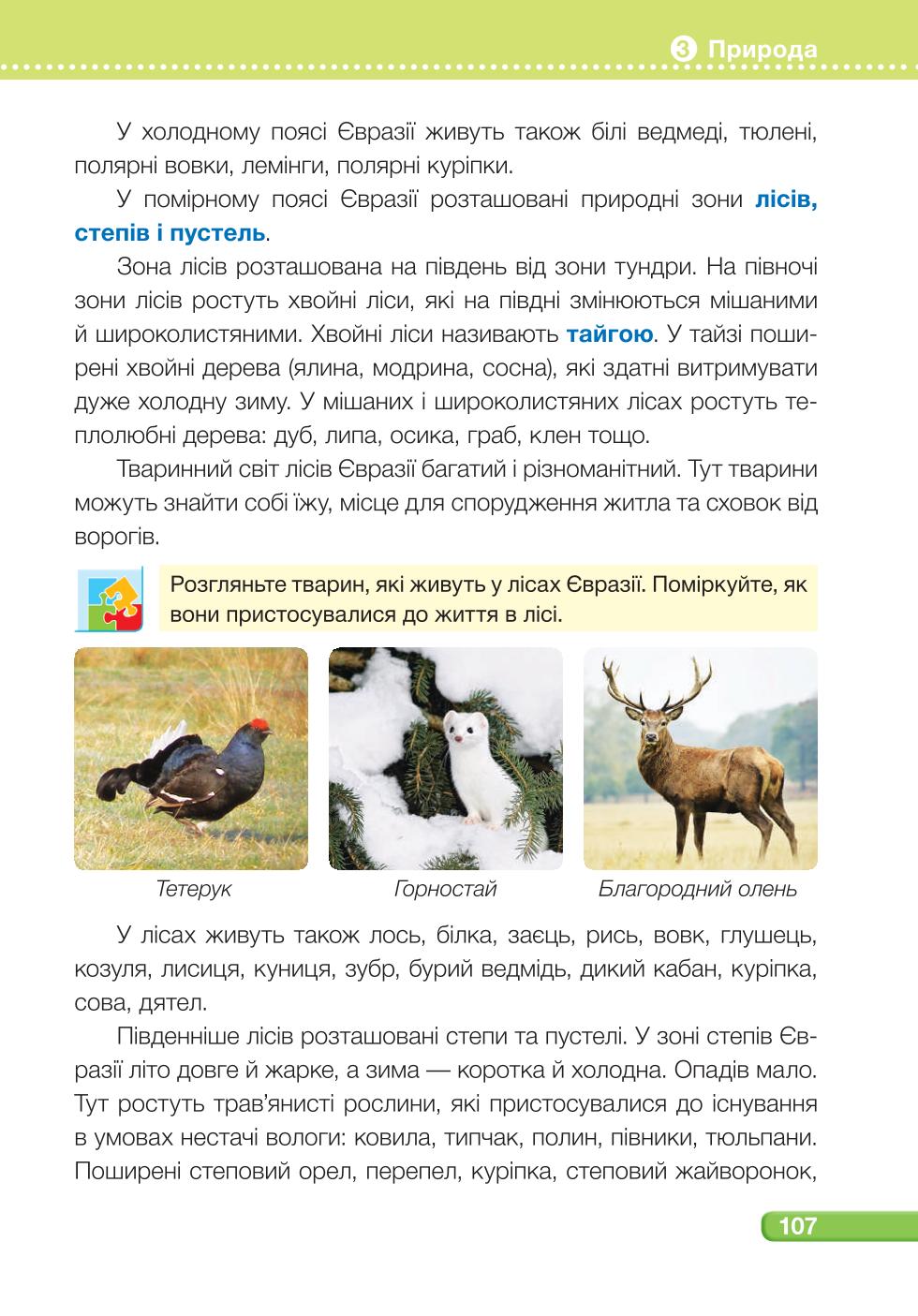 Мініатюра 107