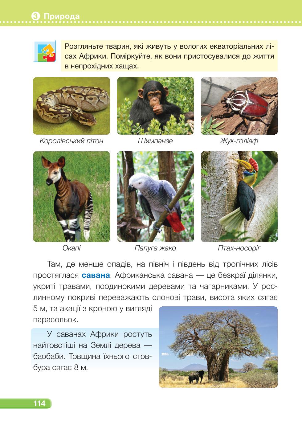 Мініатюра 114