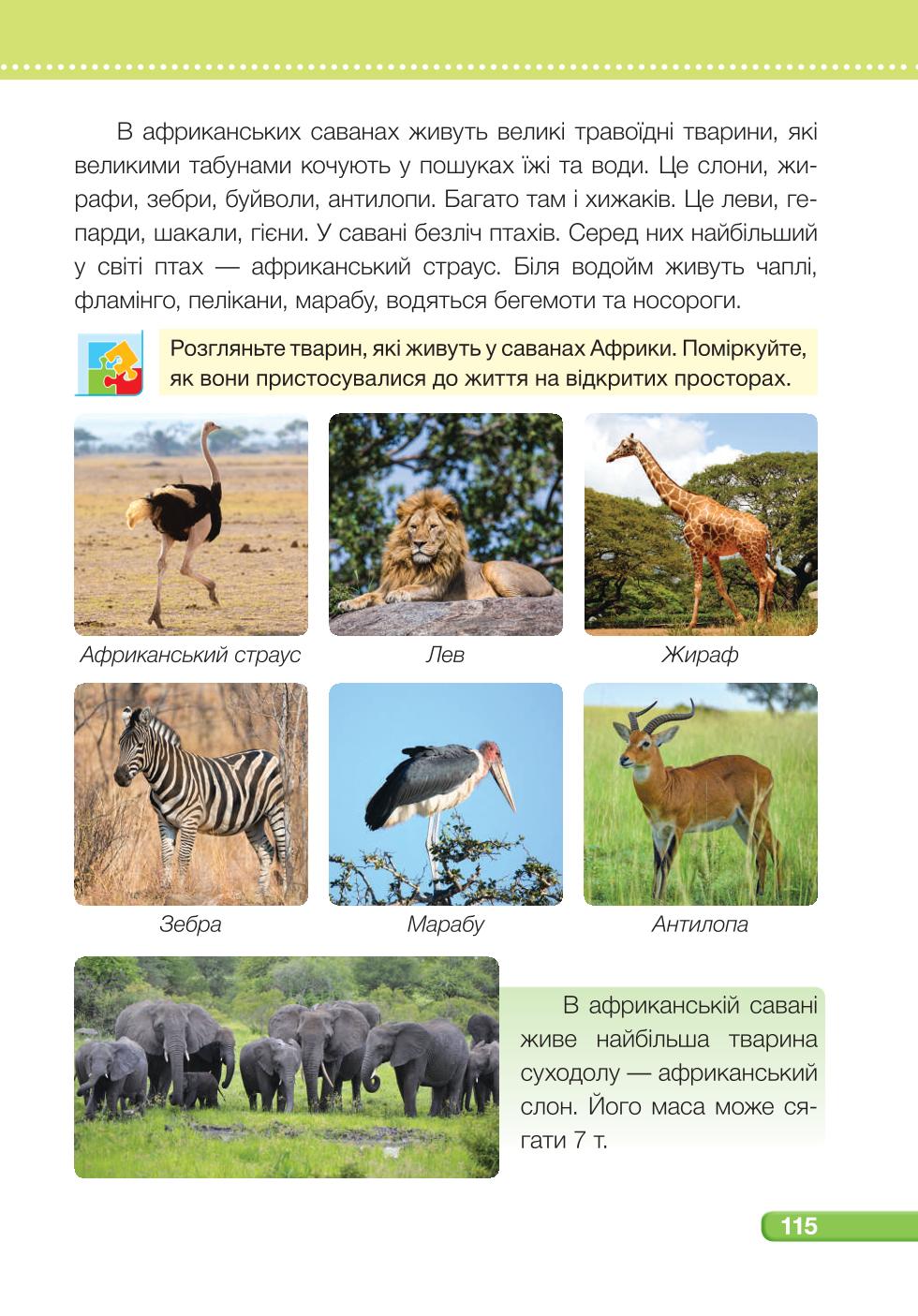 Мініатюра 115