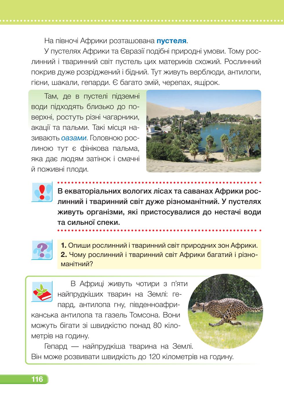 Мініатюра 116