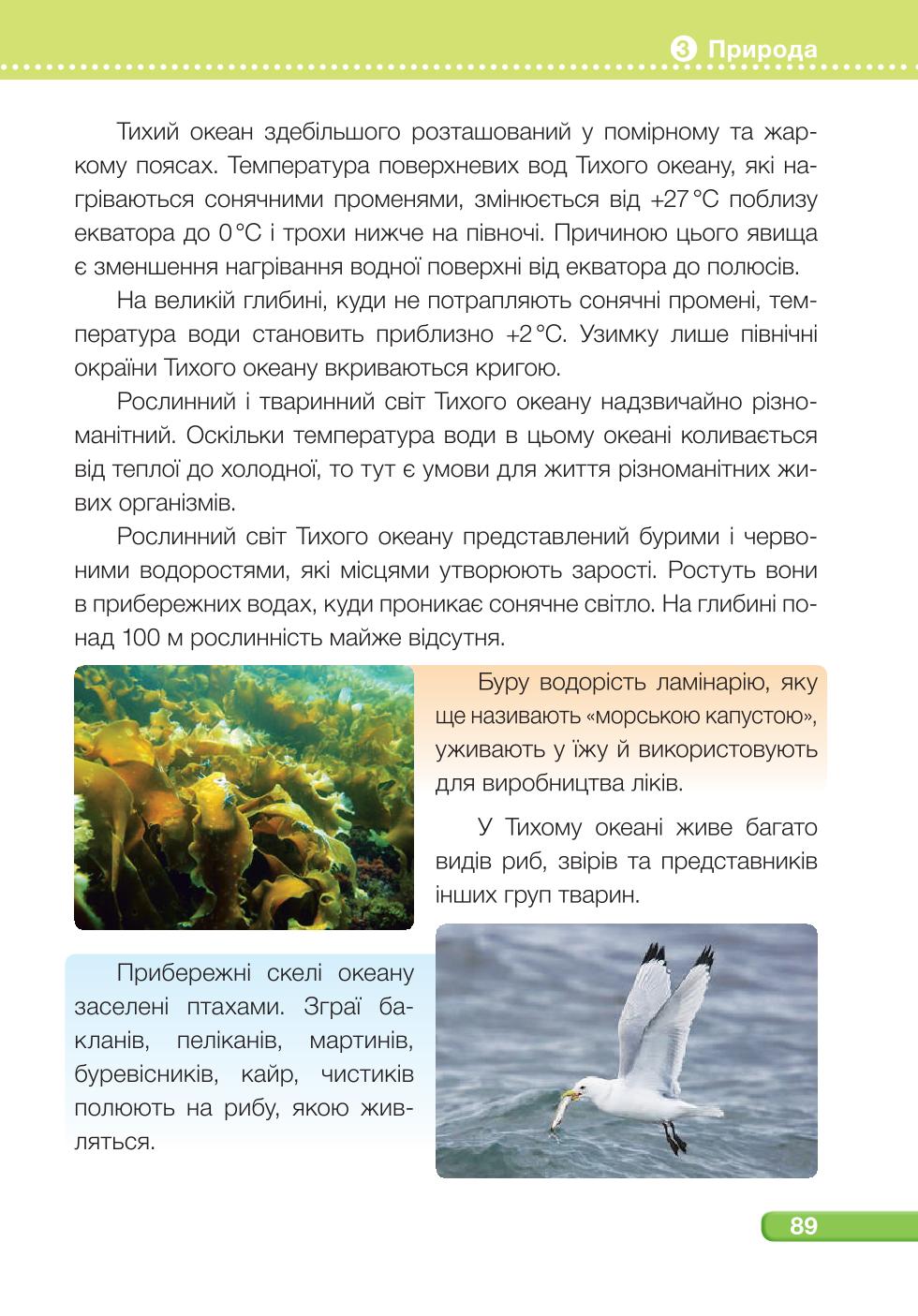 Мініатюра 89