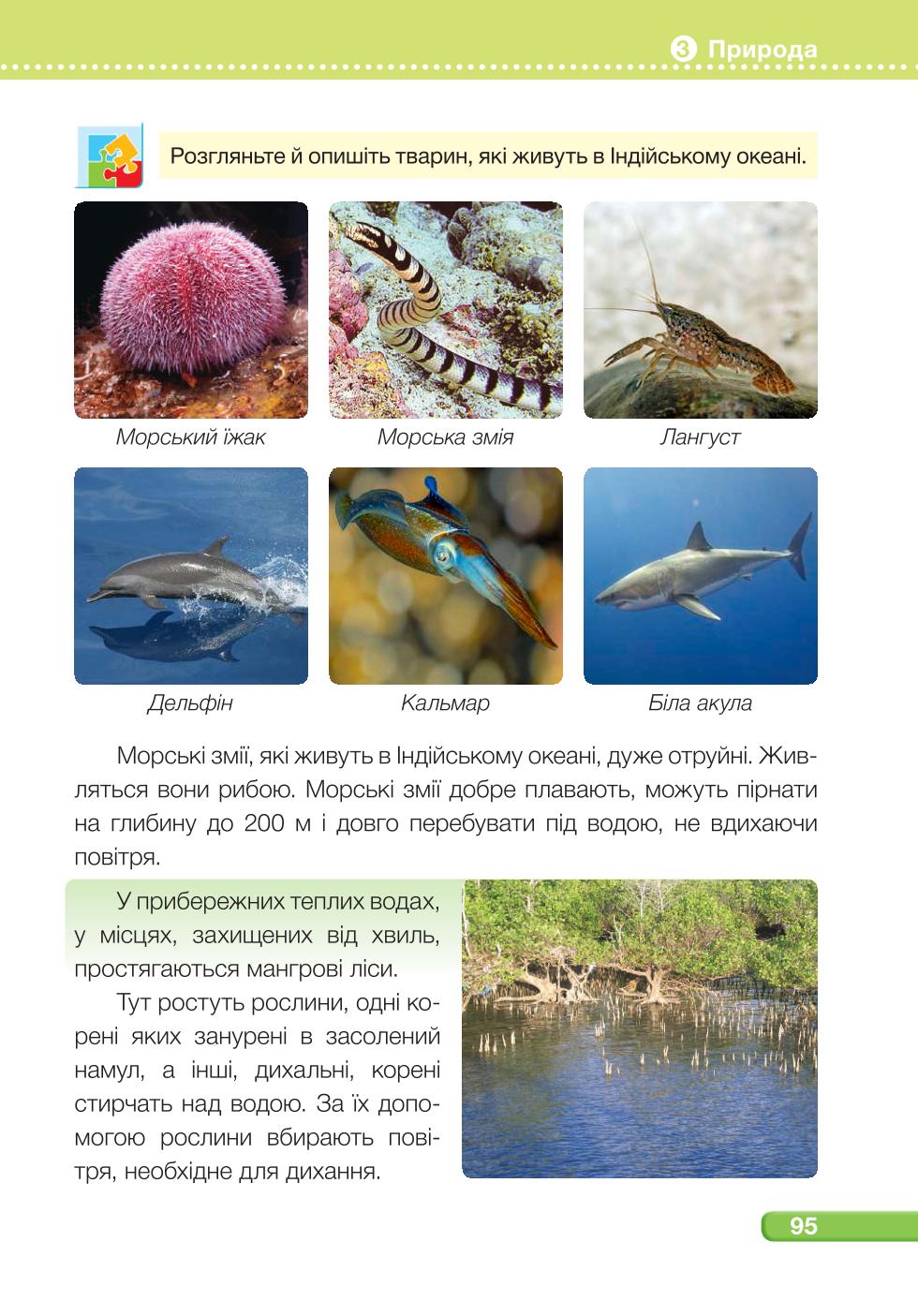 Мініатюра 95