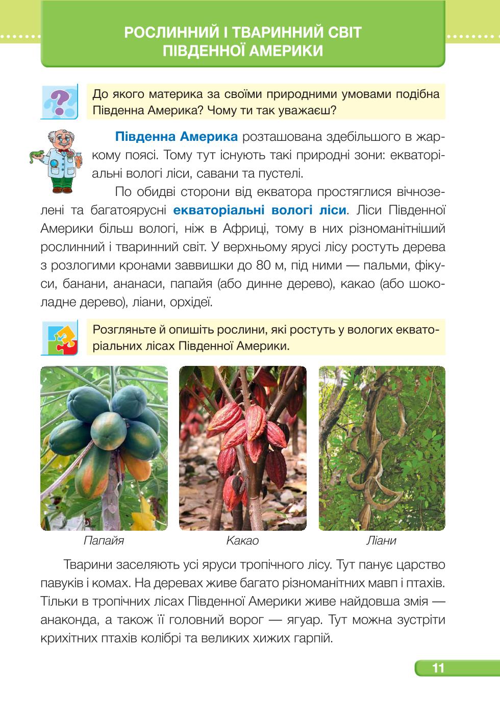 Мініатюра 11