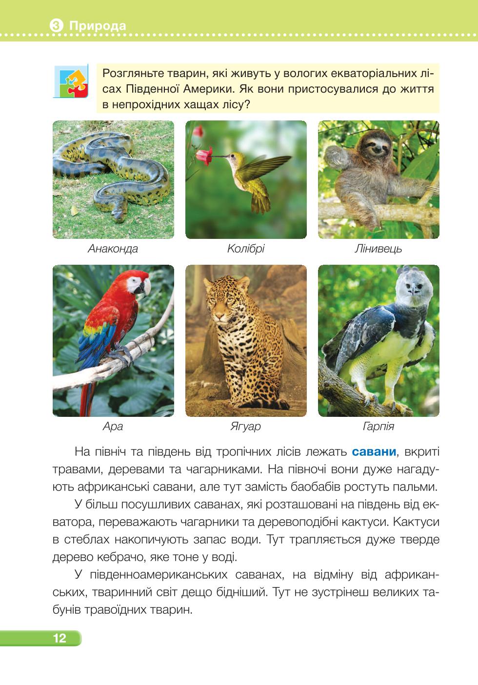 Мініатюра 12