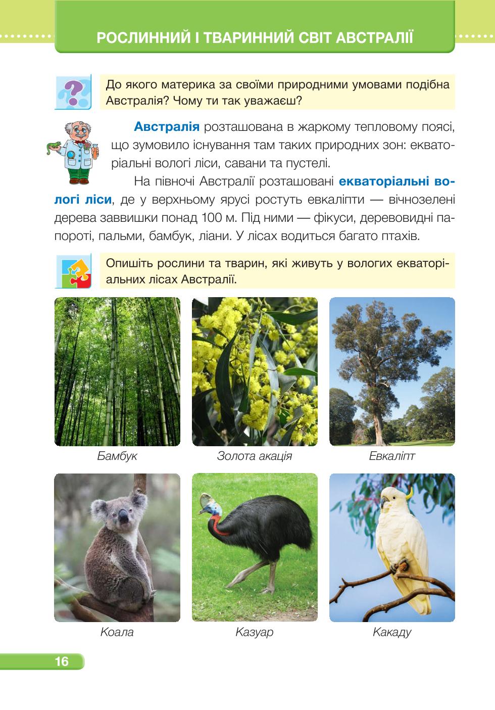 Мініатюра 16