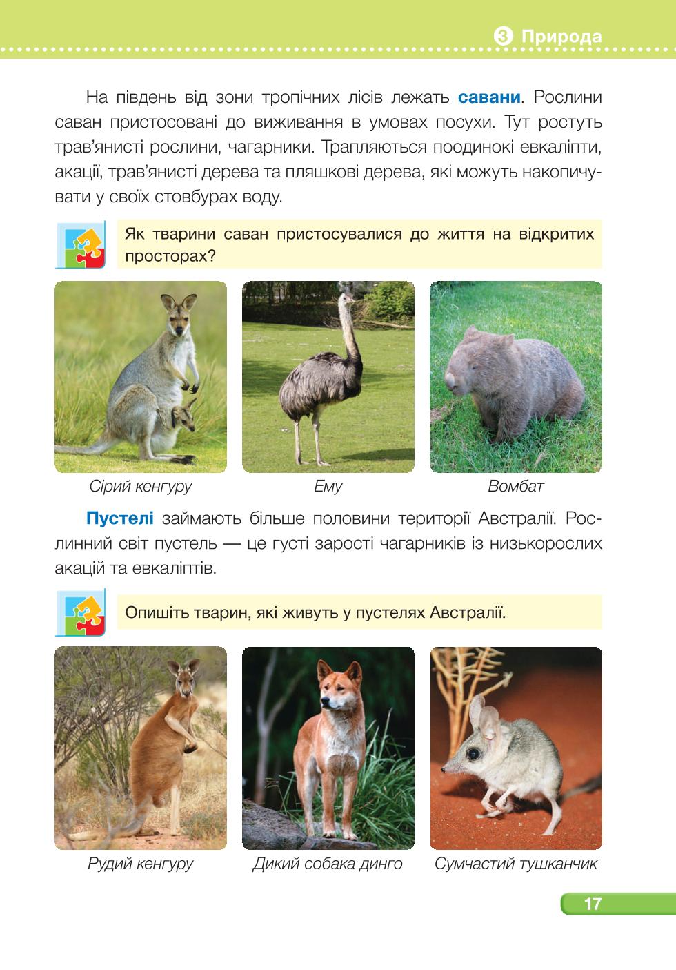 Мініатюра 17