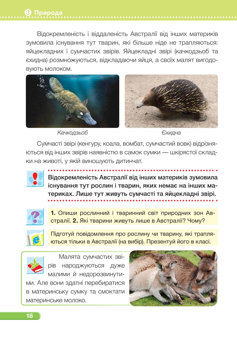 Мініатюра 18