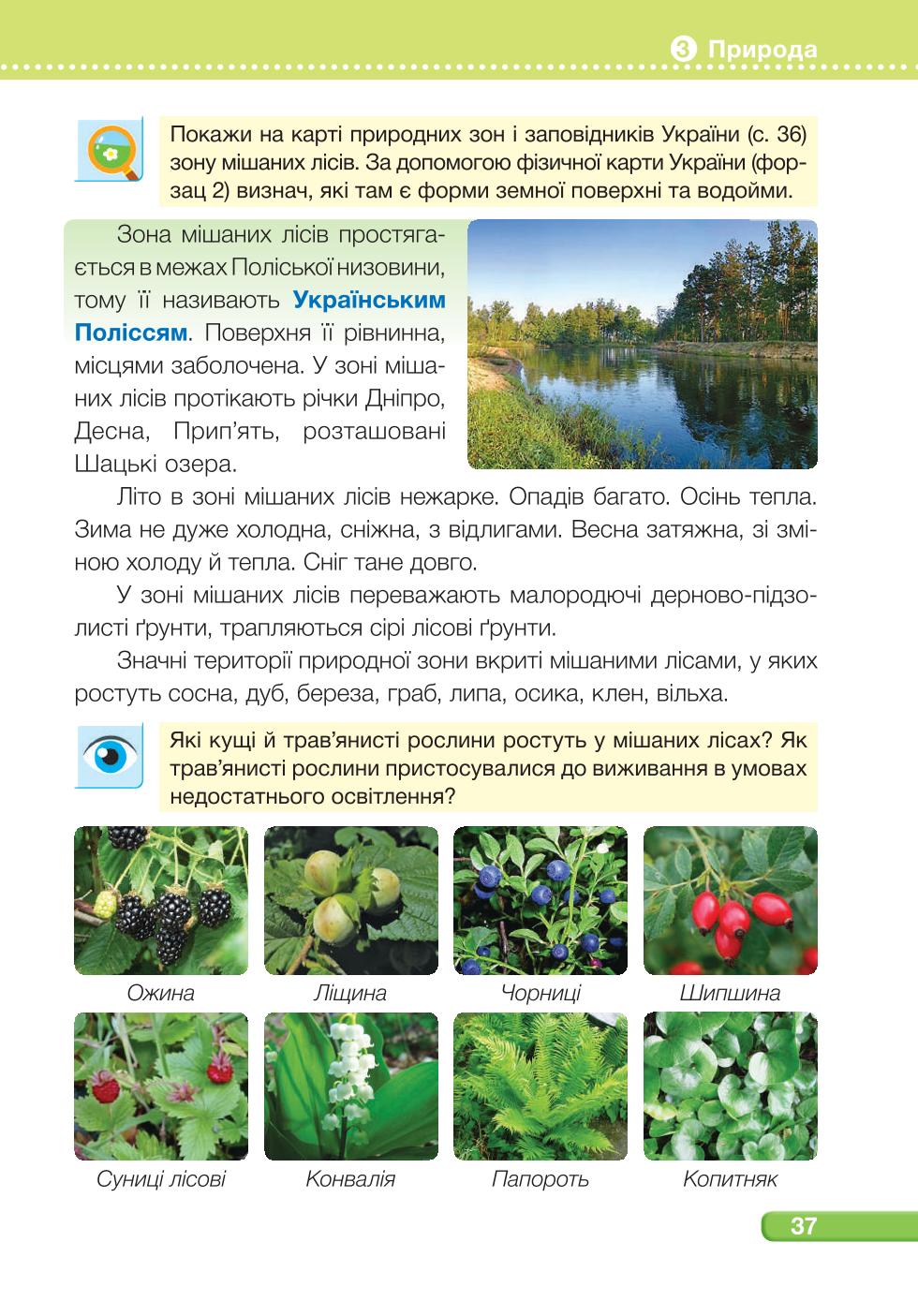 Мініатюра 37