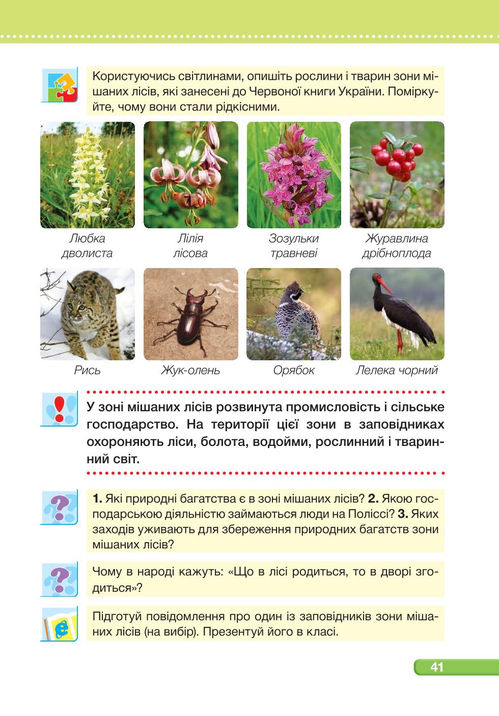 Мініатюра 41