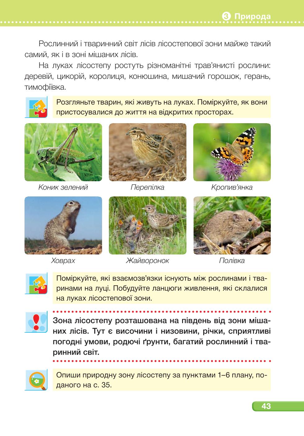 Мініатюра 43