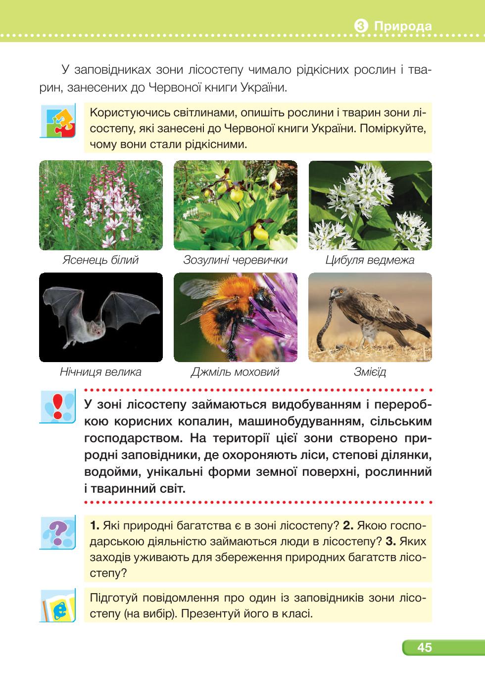 Мініатюра 45