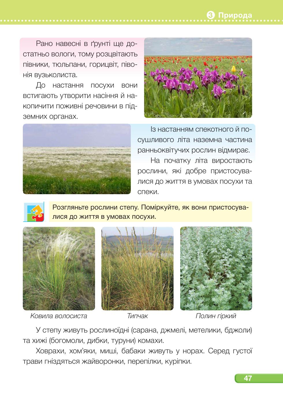 Мініатюра 47