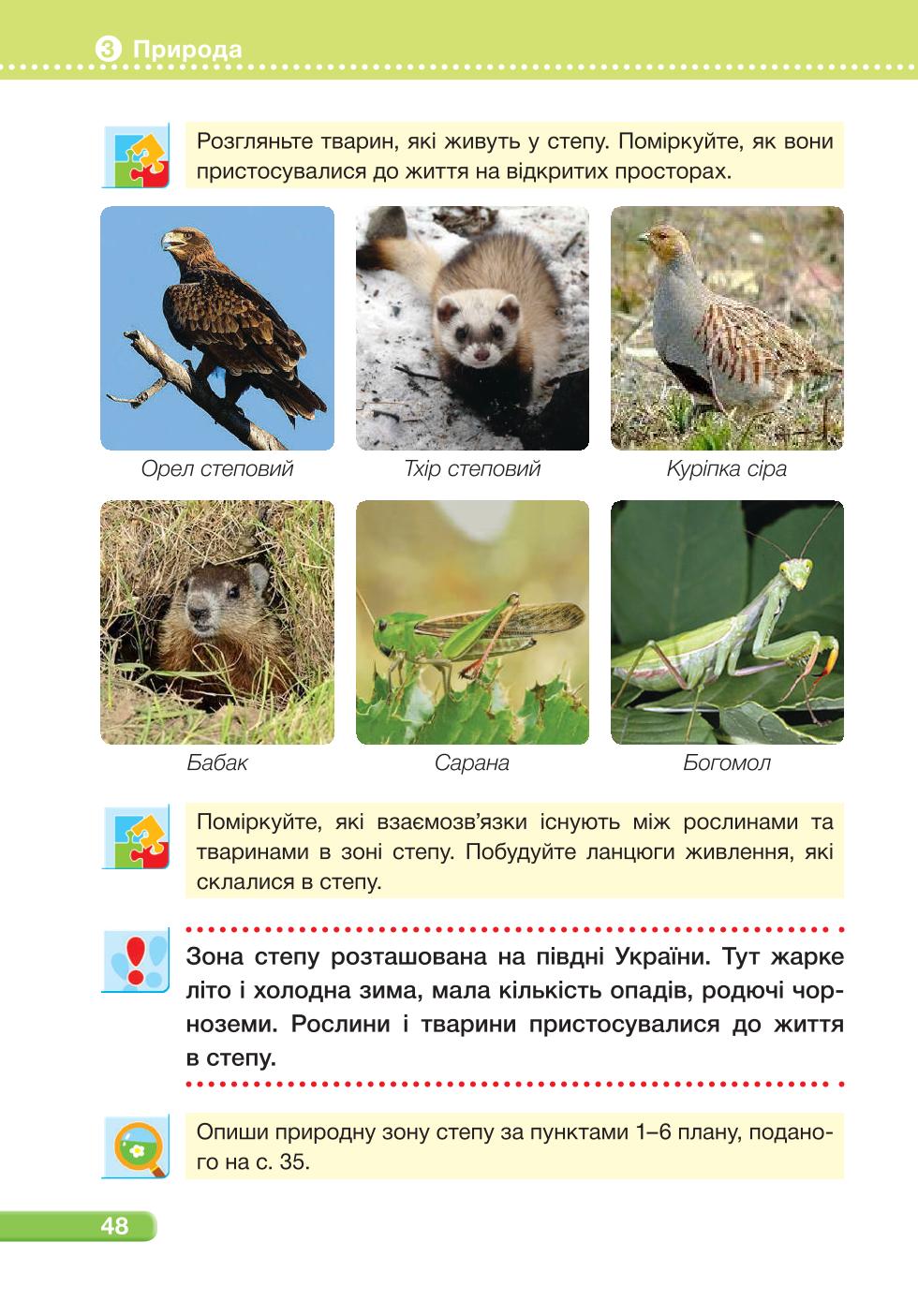 Мініатюра 48
