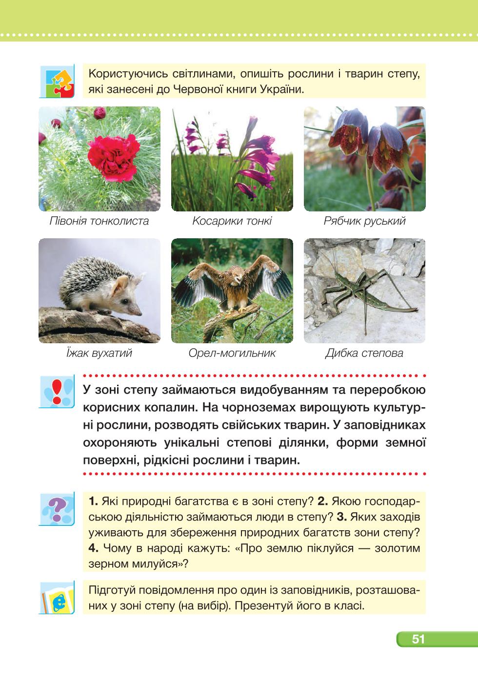 Мініатюра 51