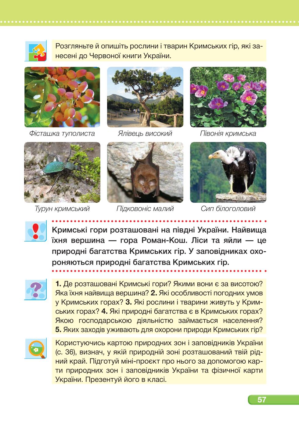 Мініатюра 57