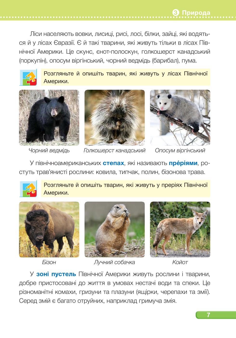 Мініатюра 7