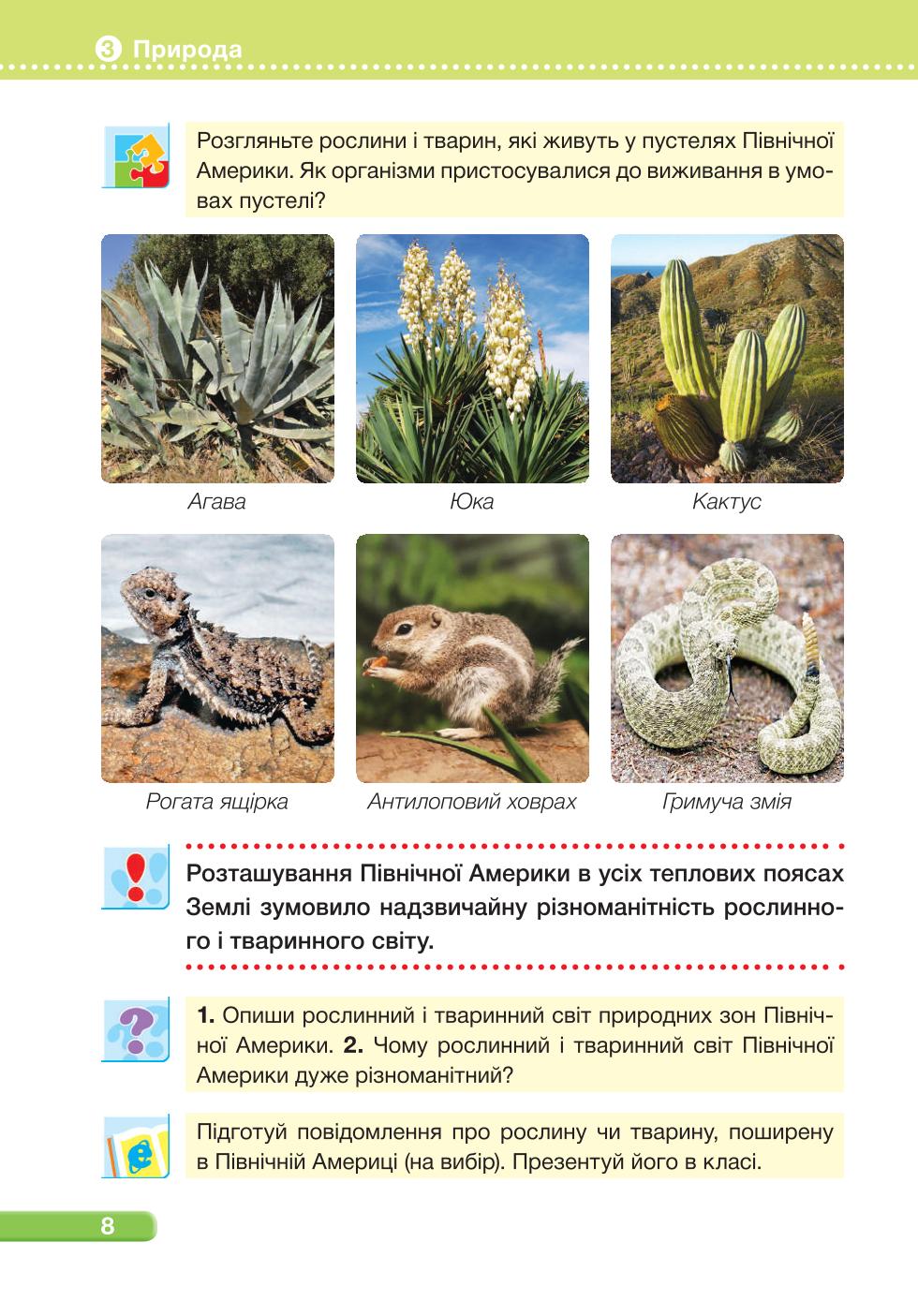 Мініатюра 8