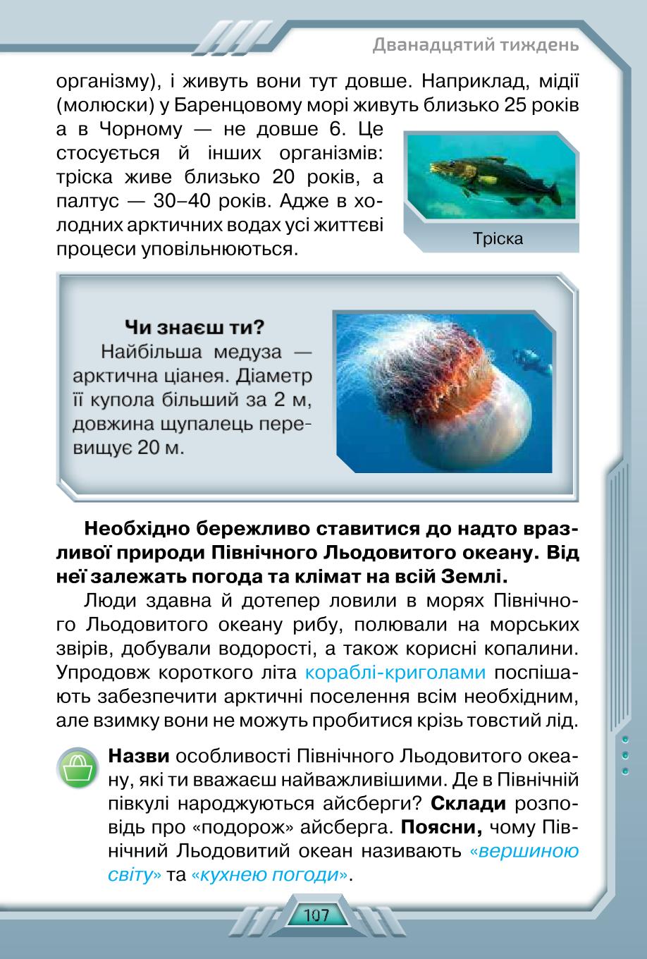 Мініатюра 107