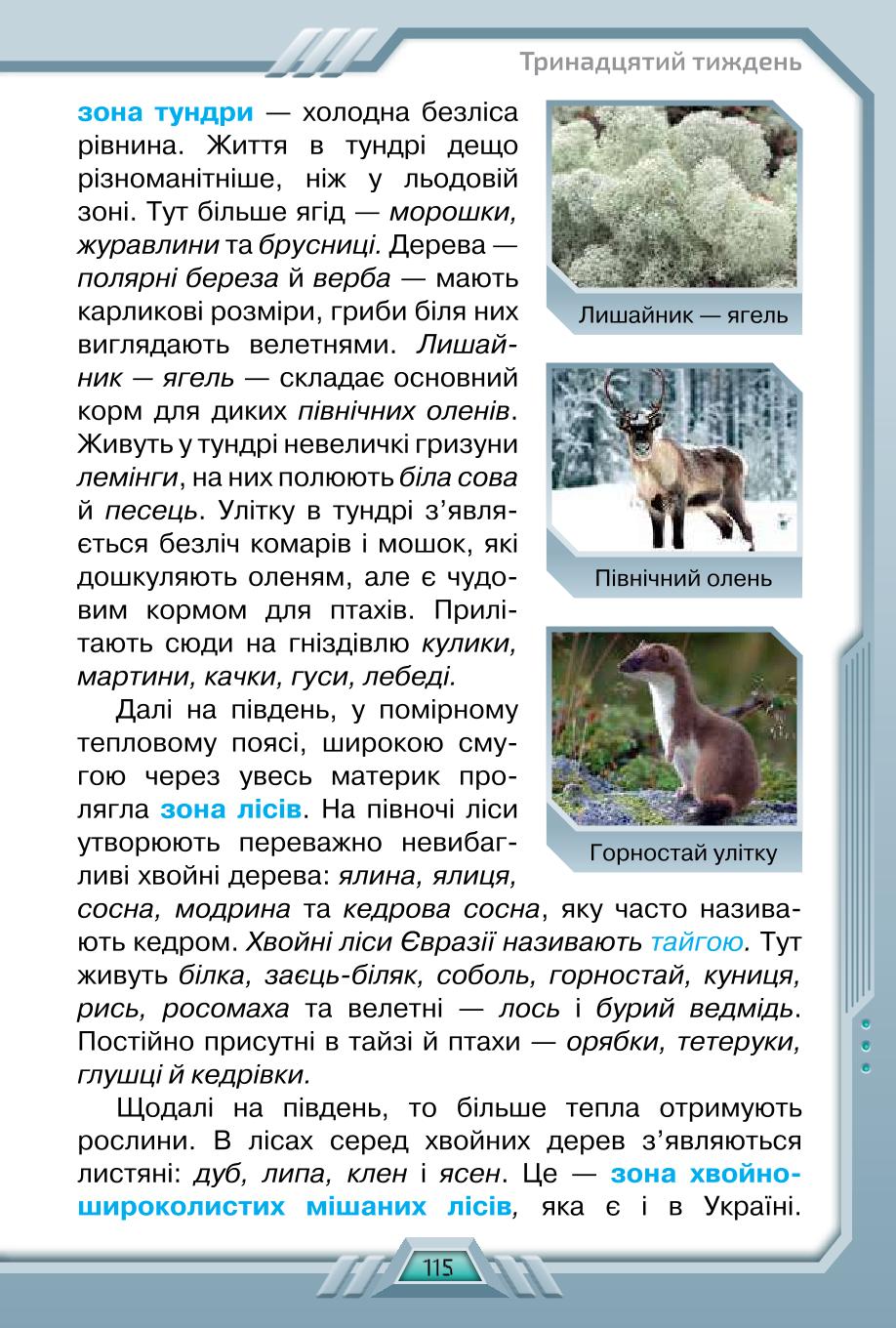 Мініатюра 115