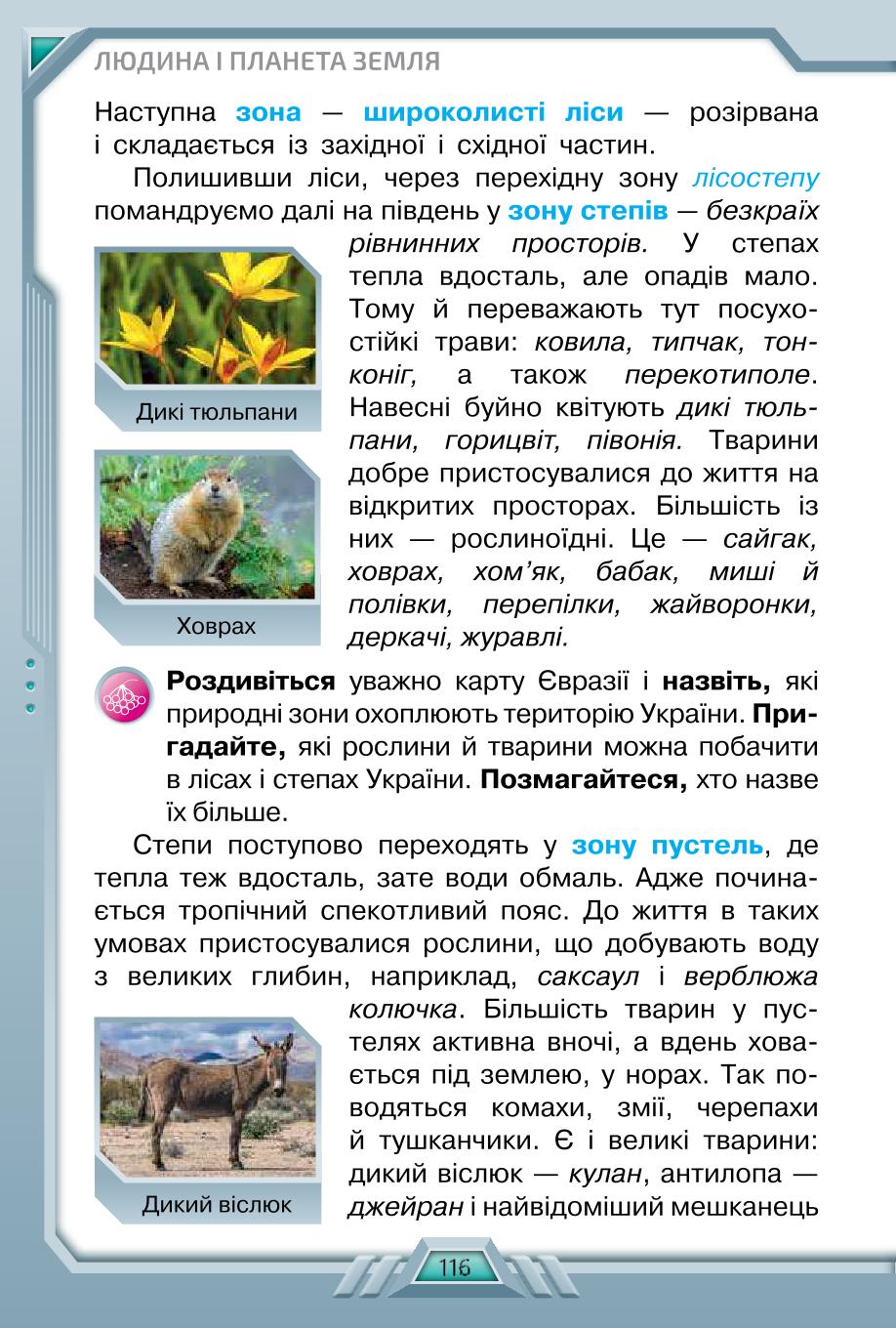 Мініатюра 116
