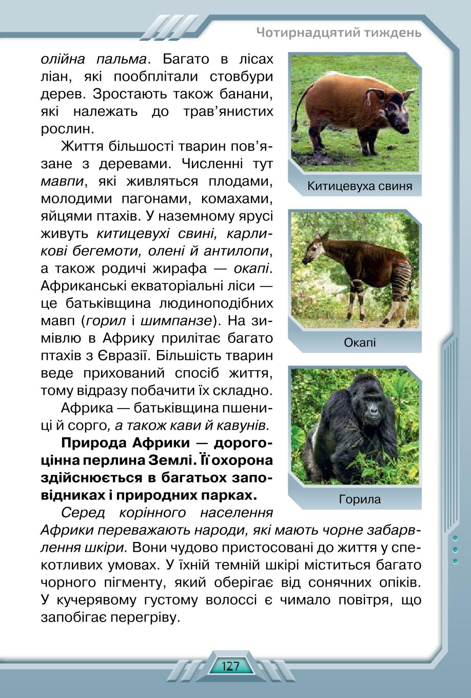 Мініатюра 127