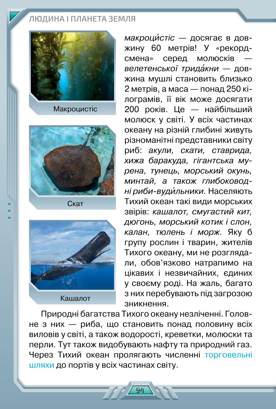 Мініатюра 94