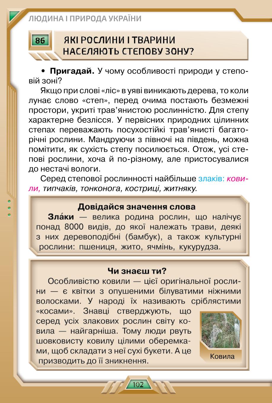 Мініатюра 102