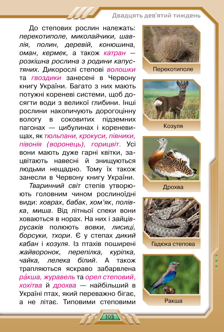 Мініатюра 103