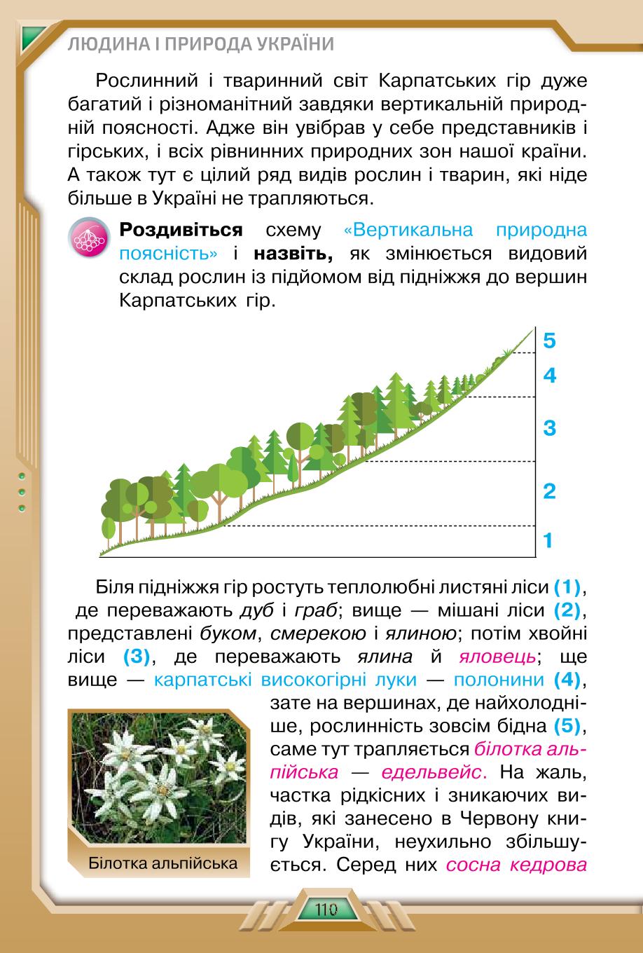 Мініатюра 110
