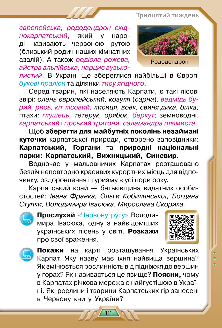 Мініатюра 111