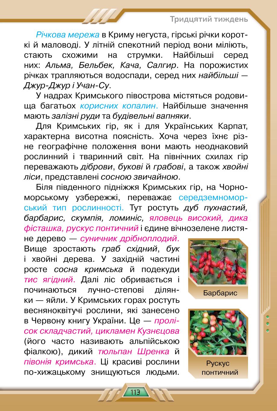 Мініатюра 113