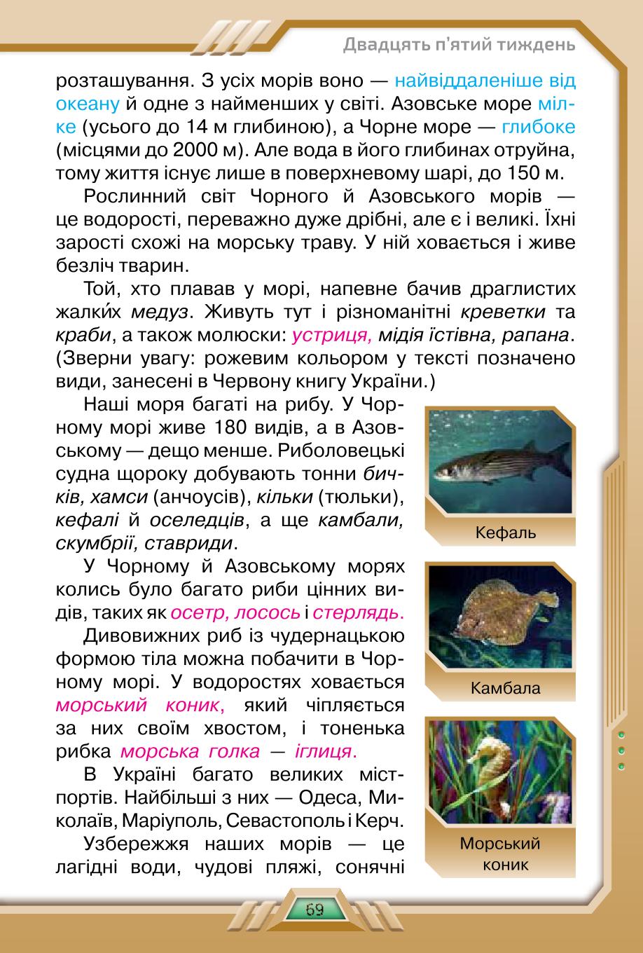 Мініатюра 69