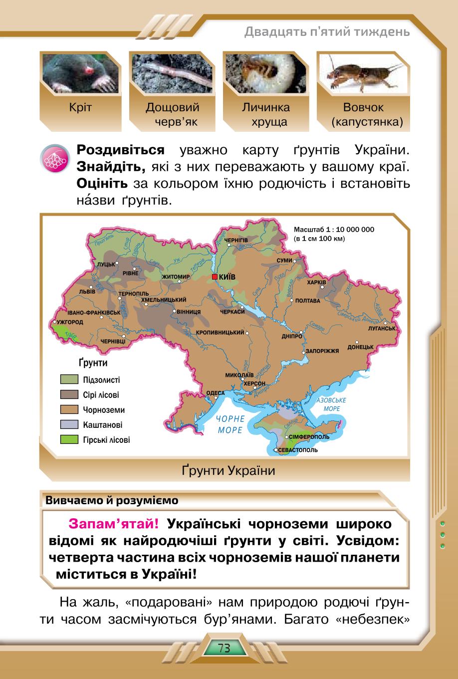 Мініатюра 73