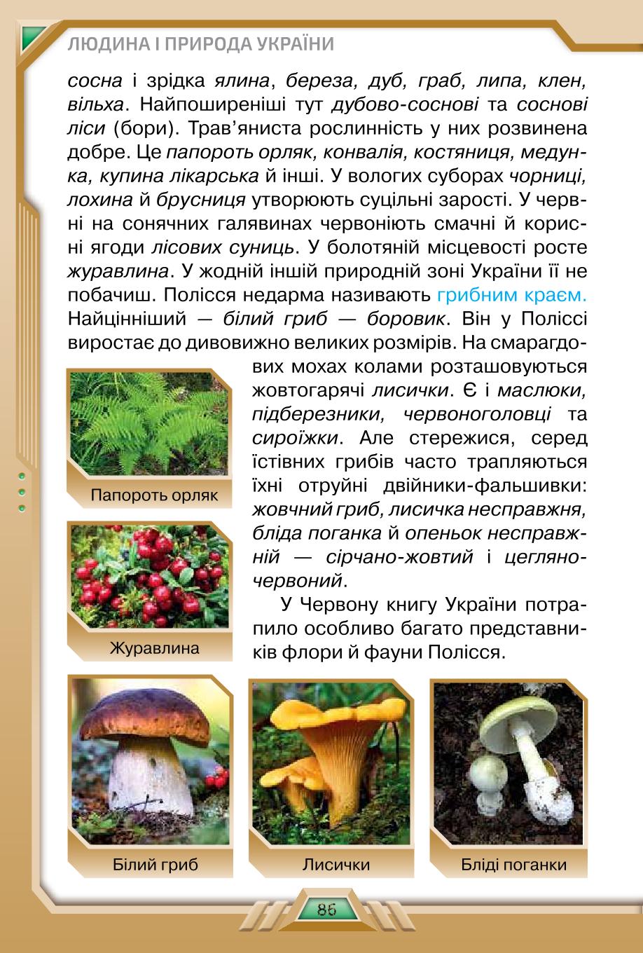 Мініатюра 86