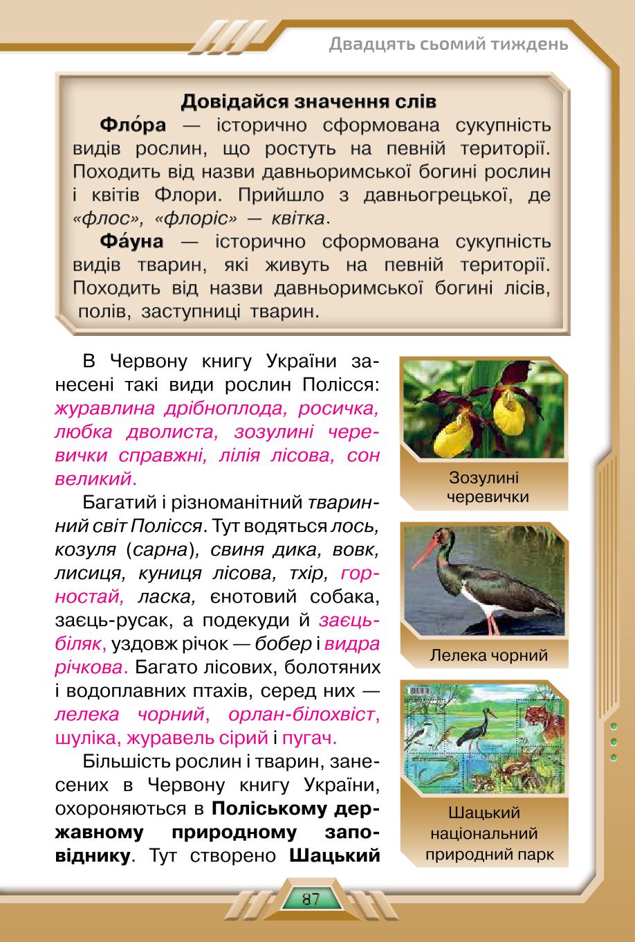 Мініатюра 87
