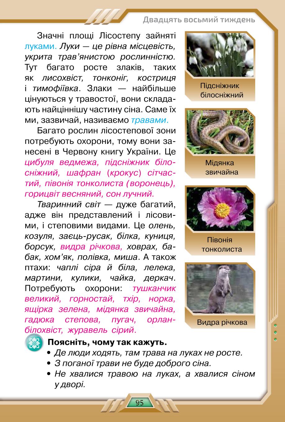 Мініатюра 95