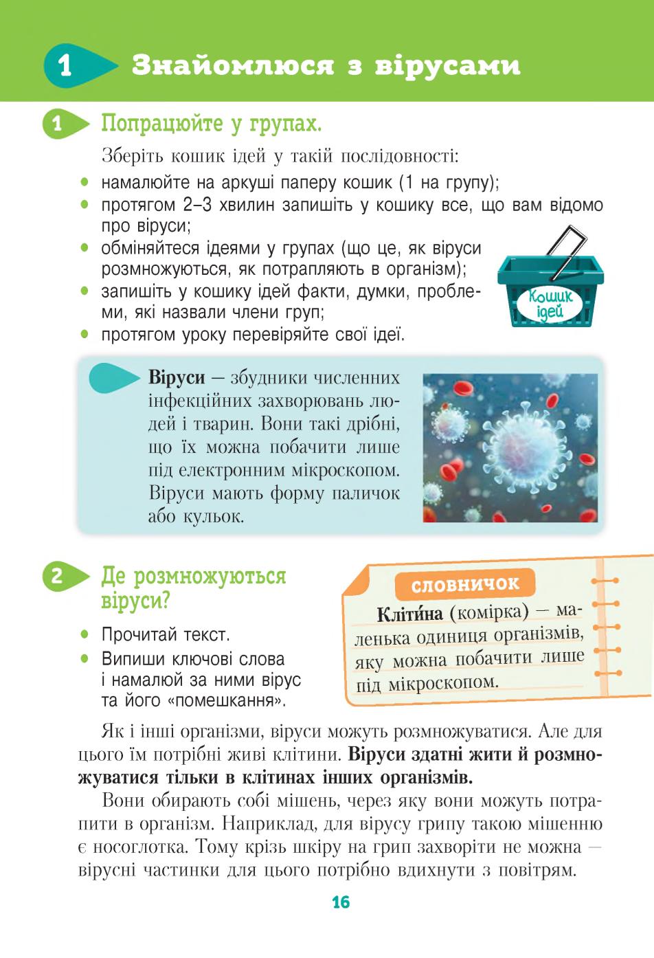 Мініатюра 16