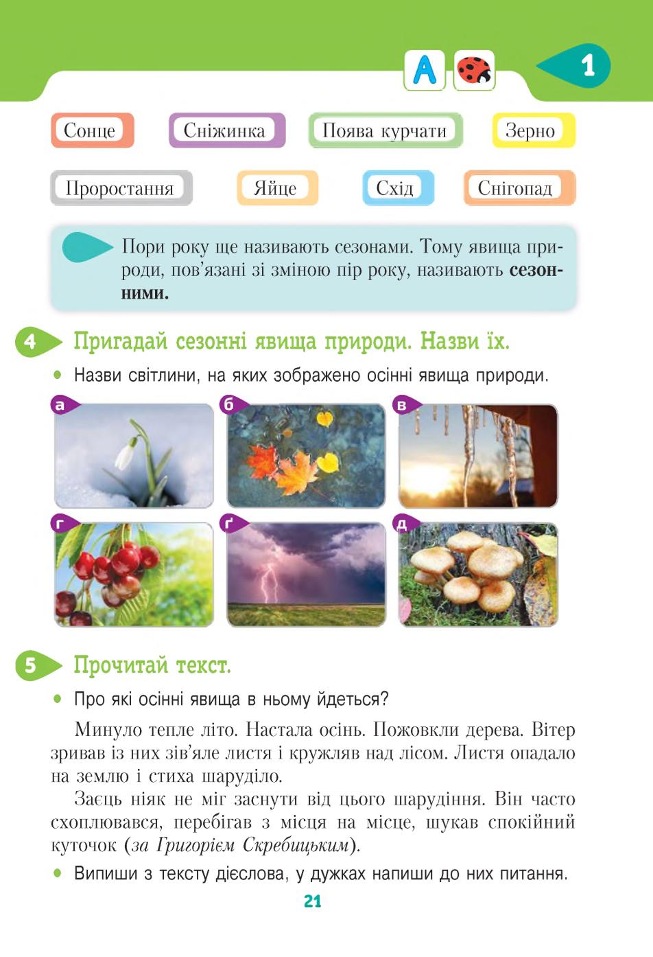 Мініатюра 21