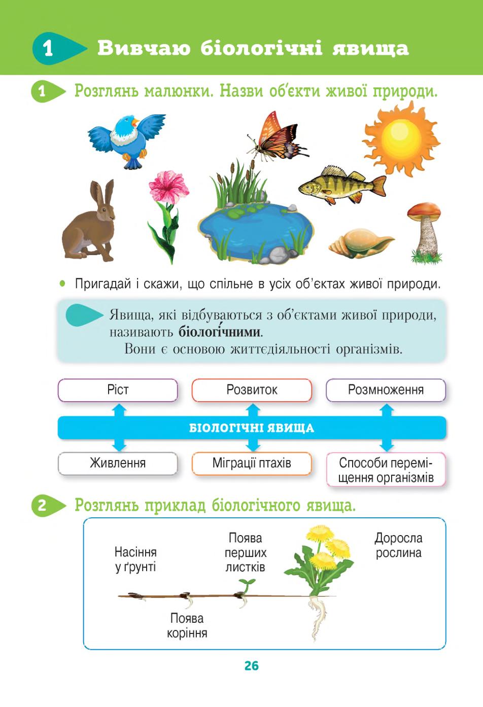 Мініатюра 26