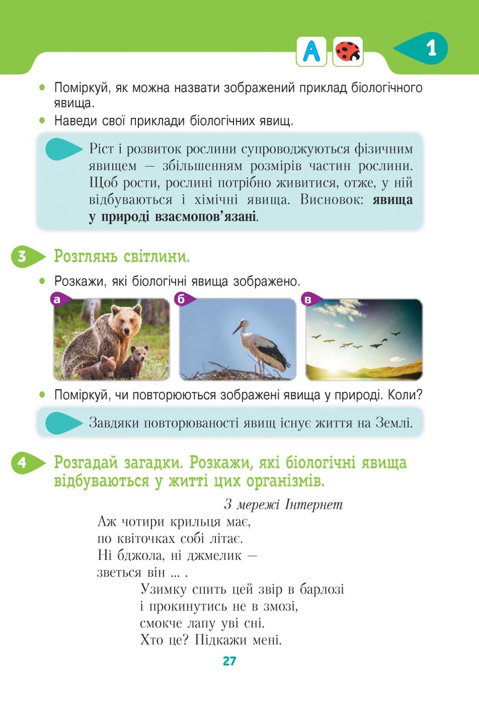 Мініатюра 27