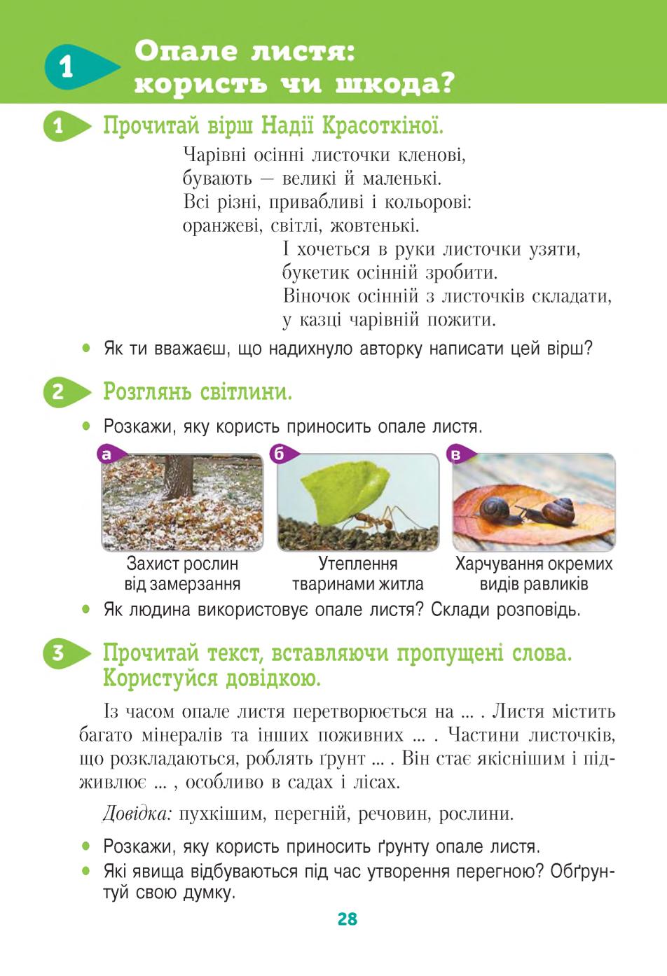 Мініатюра 28
